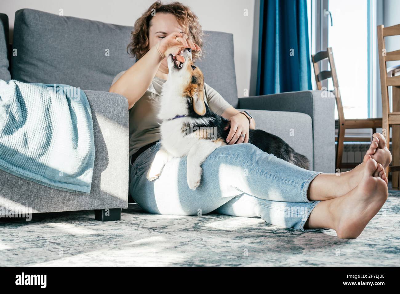 Lockige, fröhliche barfuß Frau mit Hund Corgi. Gehorsamstraining, Tierfütterung, Sitzen und Spielen Stockfoto