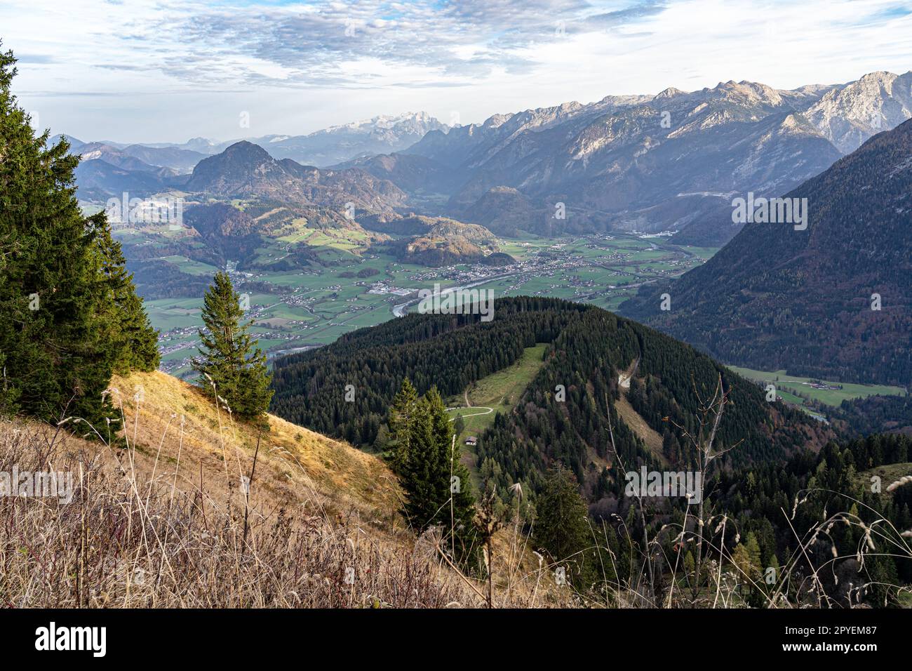 Riesige Bergkette, Wald und Wiesen der deutschen Alpen Stockfoto