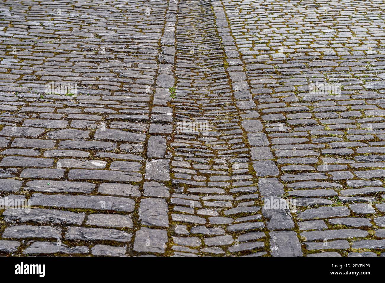 Straße mit grauen Pflastersteinen durch die historische Stadt Stockfoto