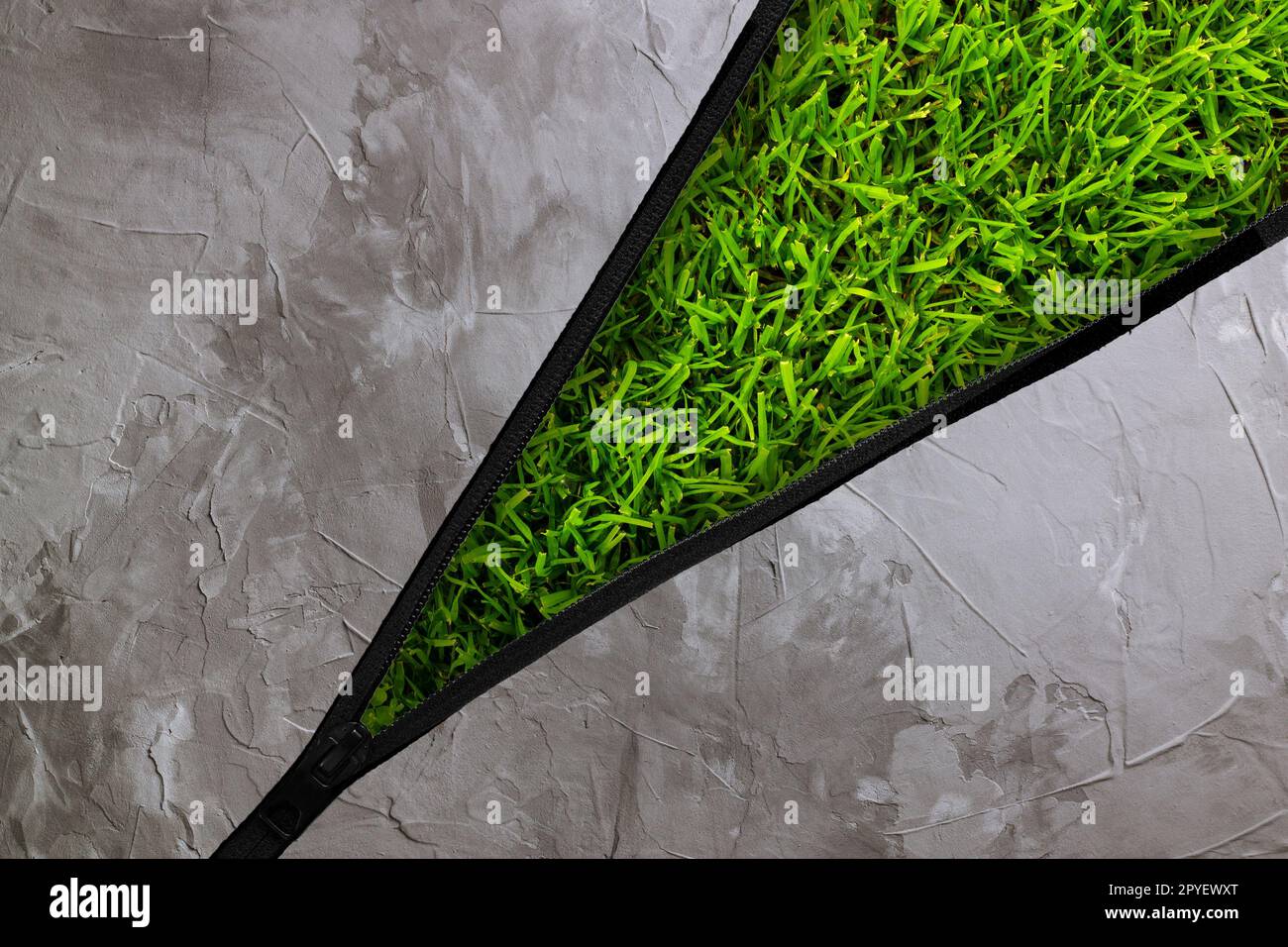 Gestreckter Reißverschluss mit grauem Betonhintergrund und grünem Gras darunter. Ökologie und Naturschutzkonzept Stockfoto