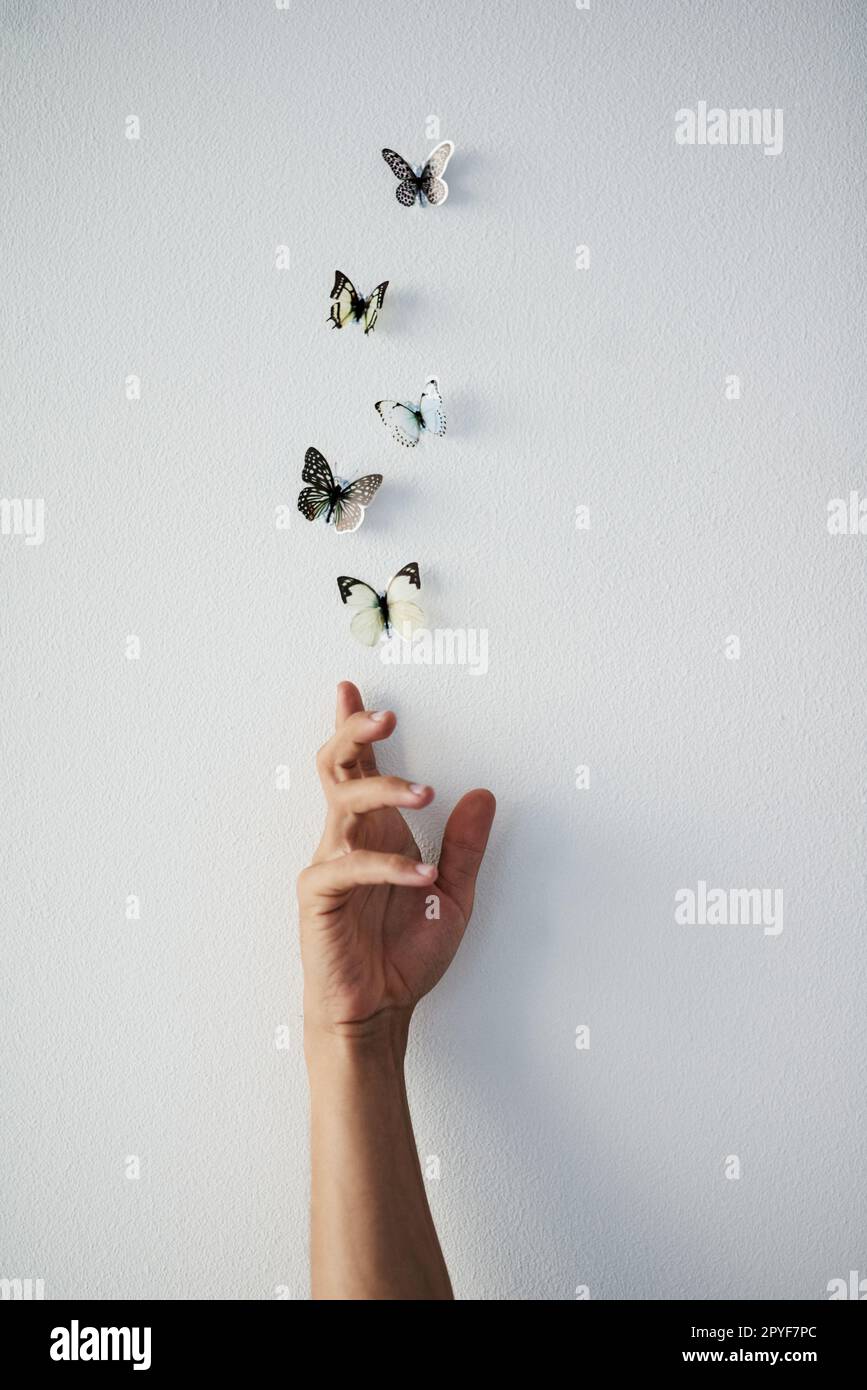 Lassen Sie Ihre Träume fliegen. Studioaufnahme einer unbekannten Person, die Schmetterlinge auf grauem Hintergrund in die Luft freisetzt. Stockfoto