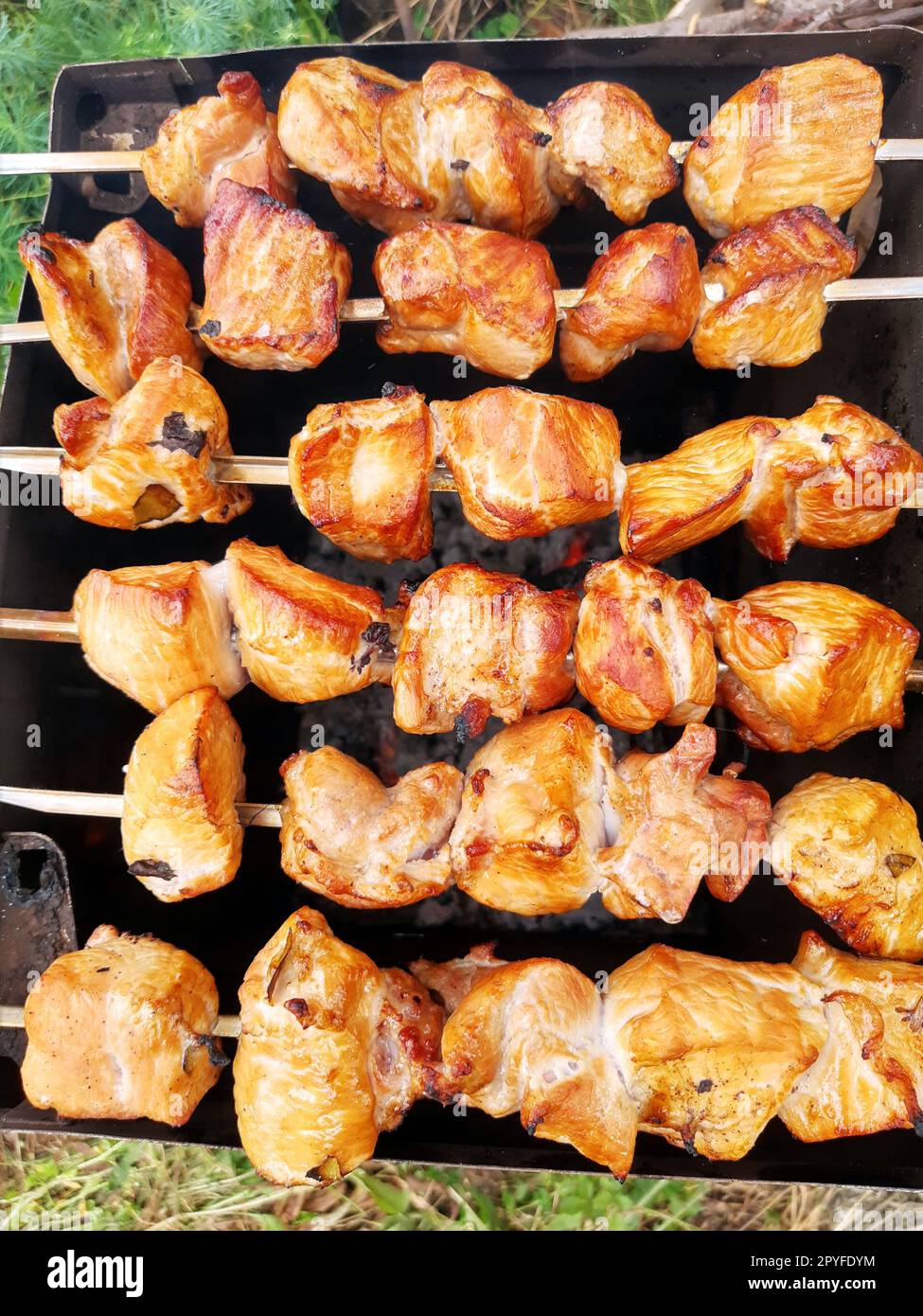 Fleischkebab in Naturnähe Stockfoto