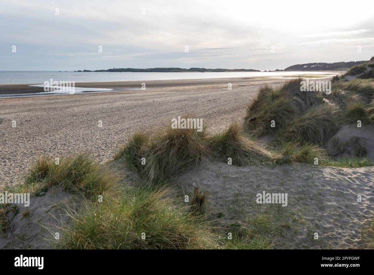 Newborough Beach an einem Frühlingsabend auf Anglesey, Nordwales. Blick von den Sanddünen mit Llanddwyn Island in der Ferne. Stockfoto