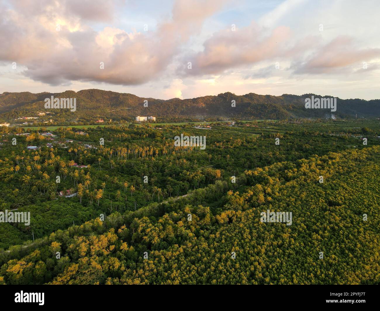 Dramatischer Himmel aus der Vogelperspektive im Mangrovenwald in der Nähe des ländlichen Raums Stockfoto
