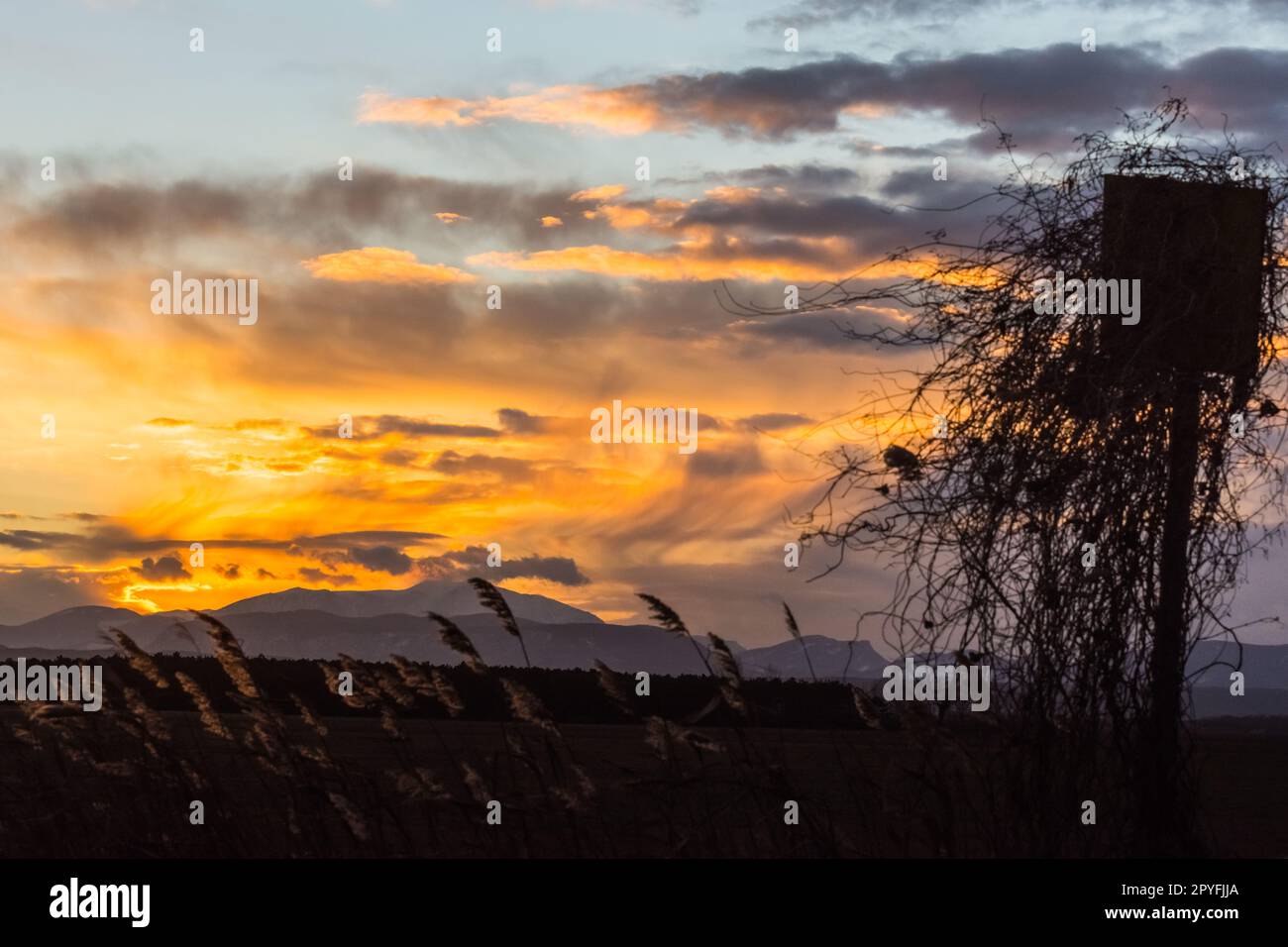 Übergroßer Sitz zum Jagen und wunderbarer Sonnenuntergang mit Wolken Stockfoto