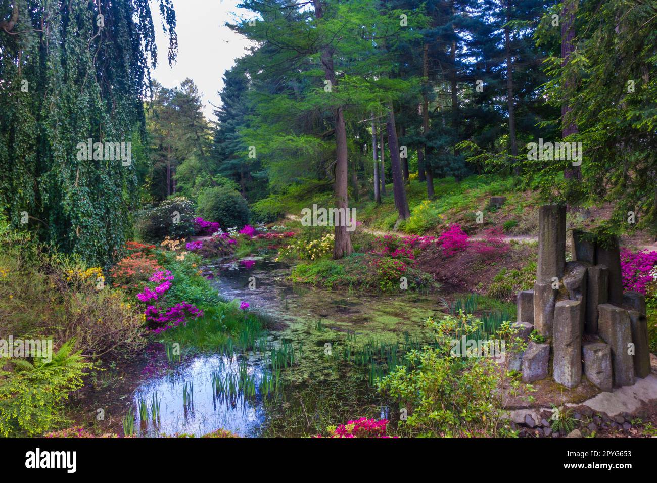 Geheimnisvoller Garten mit Blumen und Basaltsäulen in Kromalu Stockfoto
