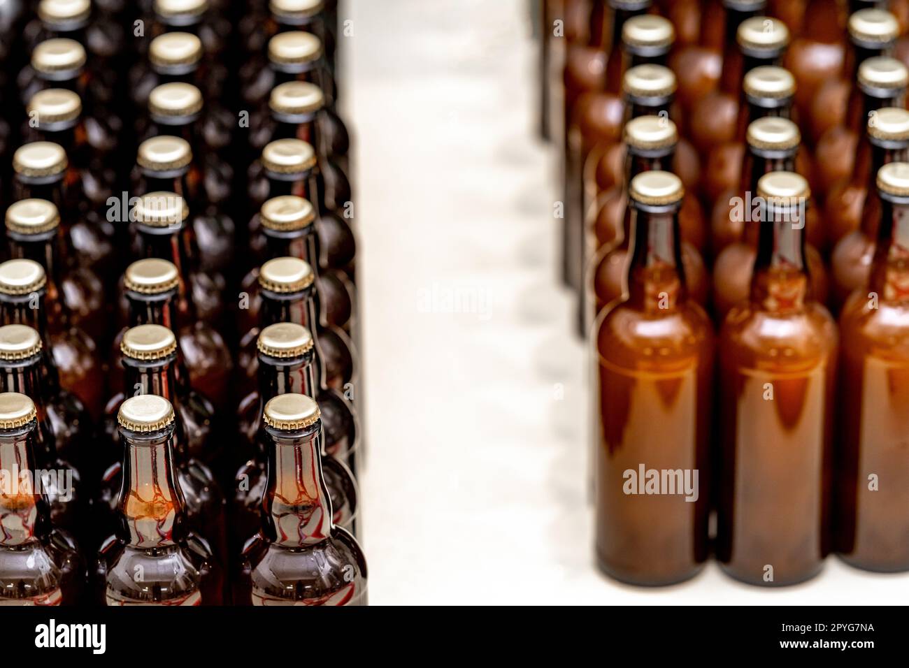Glasflaschen mit Bier im Lager der Brauerei Stockfoto