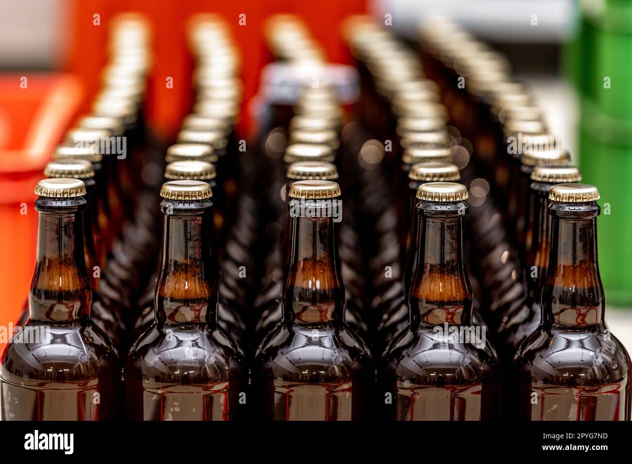 Trübe Bierflaschen in einem Lagerhaus, bereit für den Export Stockfoto