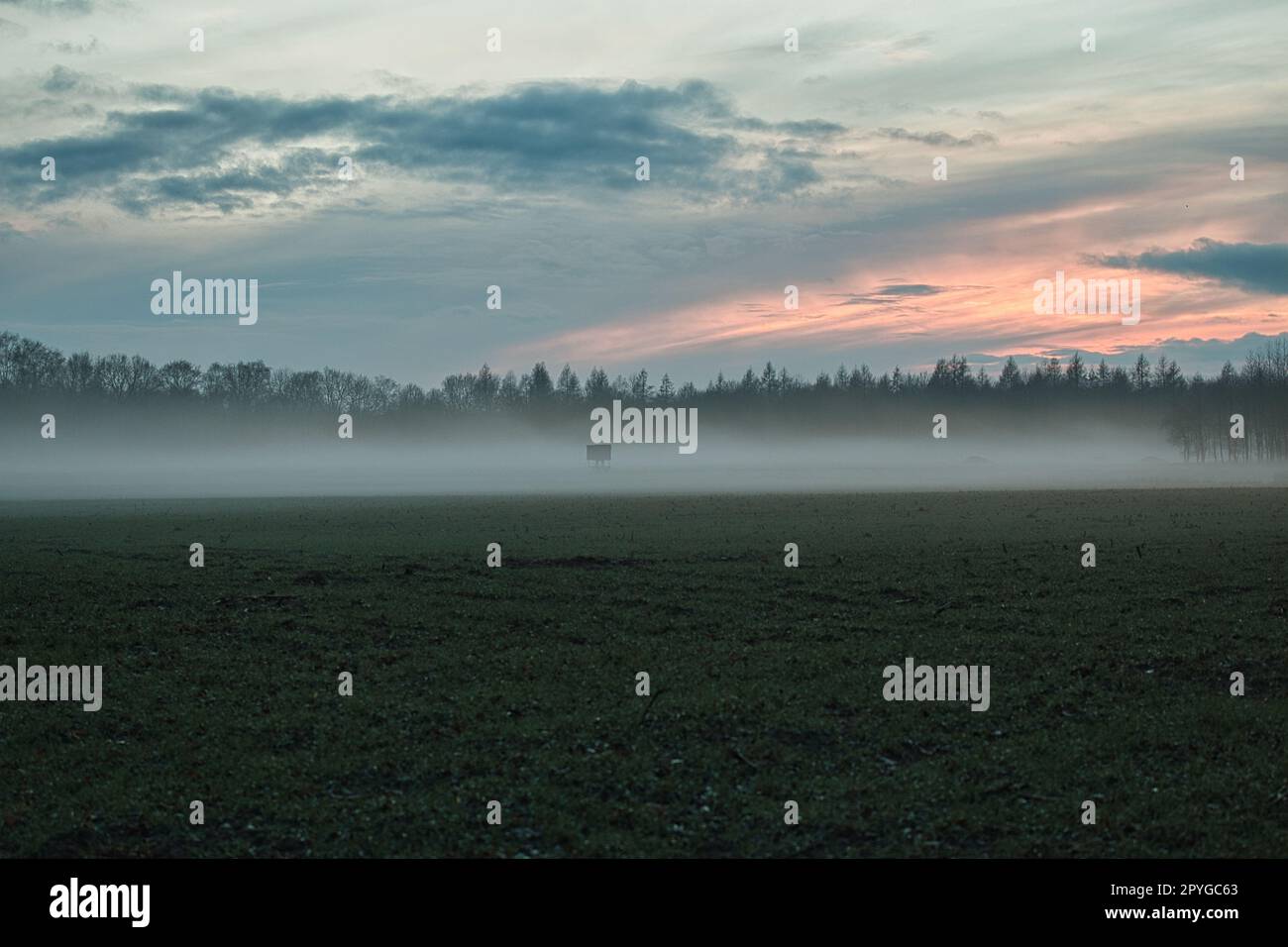 Landschaft mit einem Jägerhochsitz am Abend mit Nebel und Sonnenuntergang Stockfoto