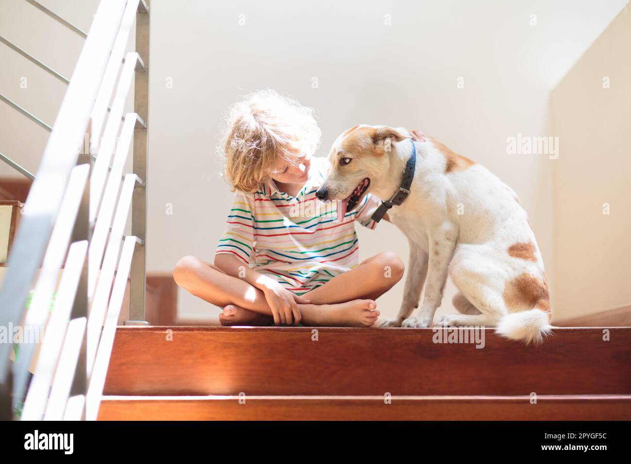 Kleiner Junge und Hund auf der Treppe. Sonnige Treppe im neuen