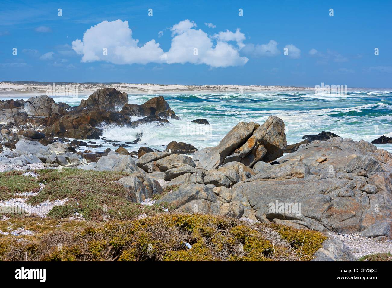 Küstengebiet in der Nähe von Cape Twon - Western Cape. Küstengebiet in der Nähe von Kapstadt, Südafrika. Stockfoto