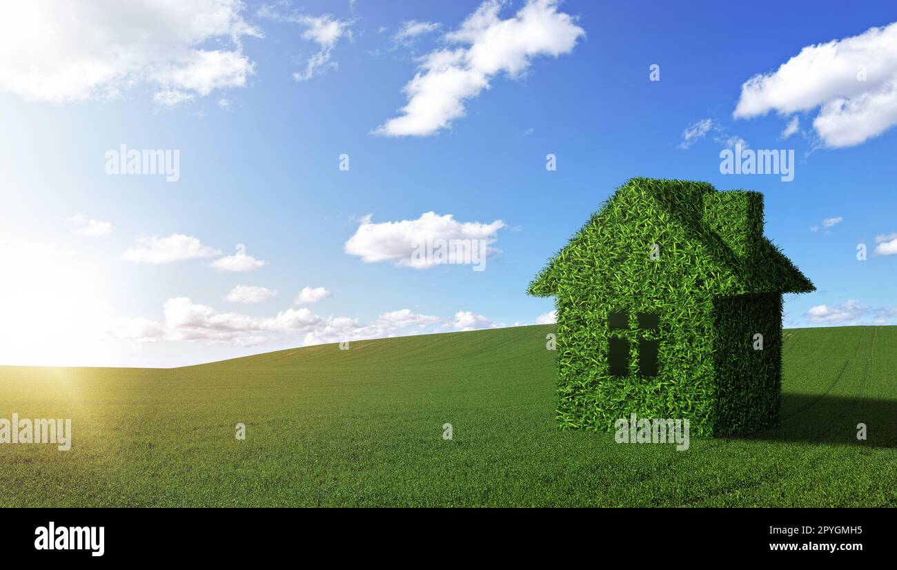 Immobilienfeld, blauer Himmel und Grashaus für umweltfreundliches Architekturdesign, Nachhaltigkeit und Investitionen in Landschaftsgrundstücke. Landschaftslandschaft, Naturwachstum und Frühjahrshaus Stockfoto