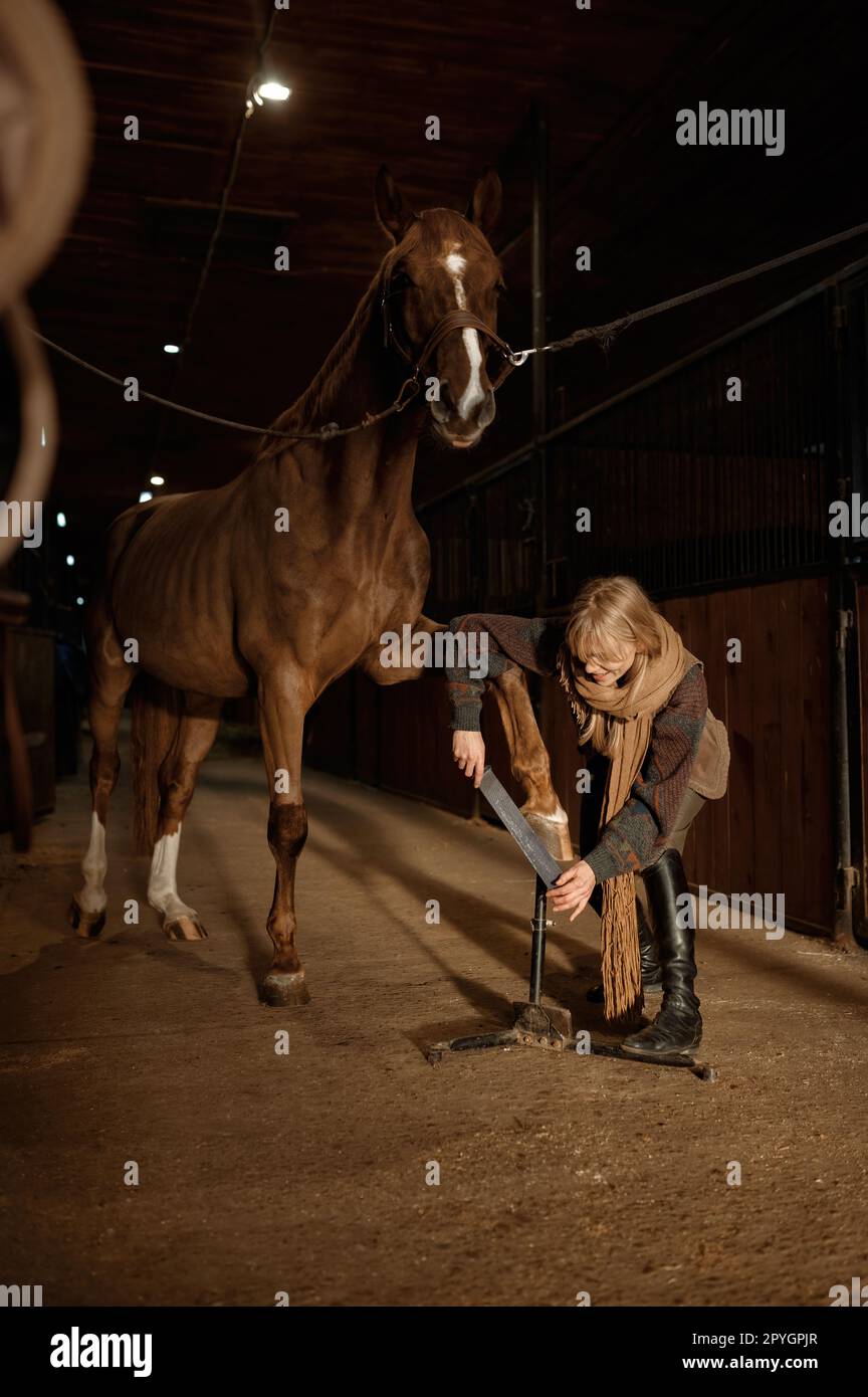 Junge Frau, die Pferde herstellt, ihre Maniküre, ihre Hufeisenwerfen Stockfoto