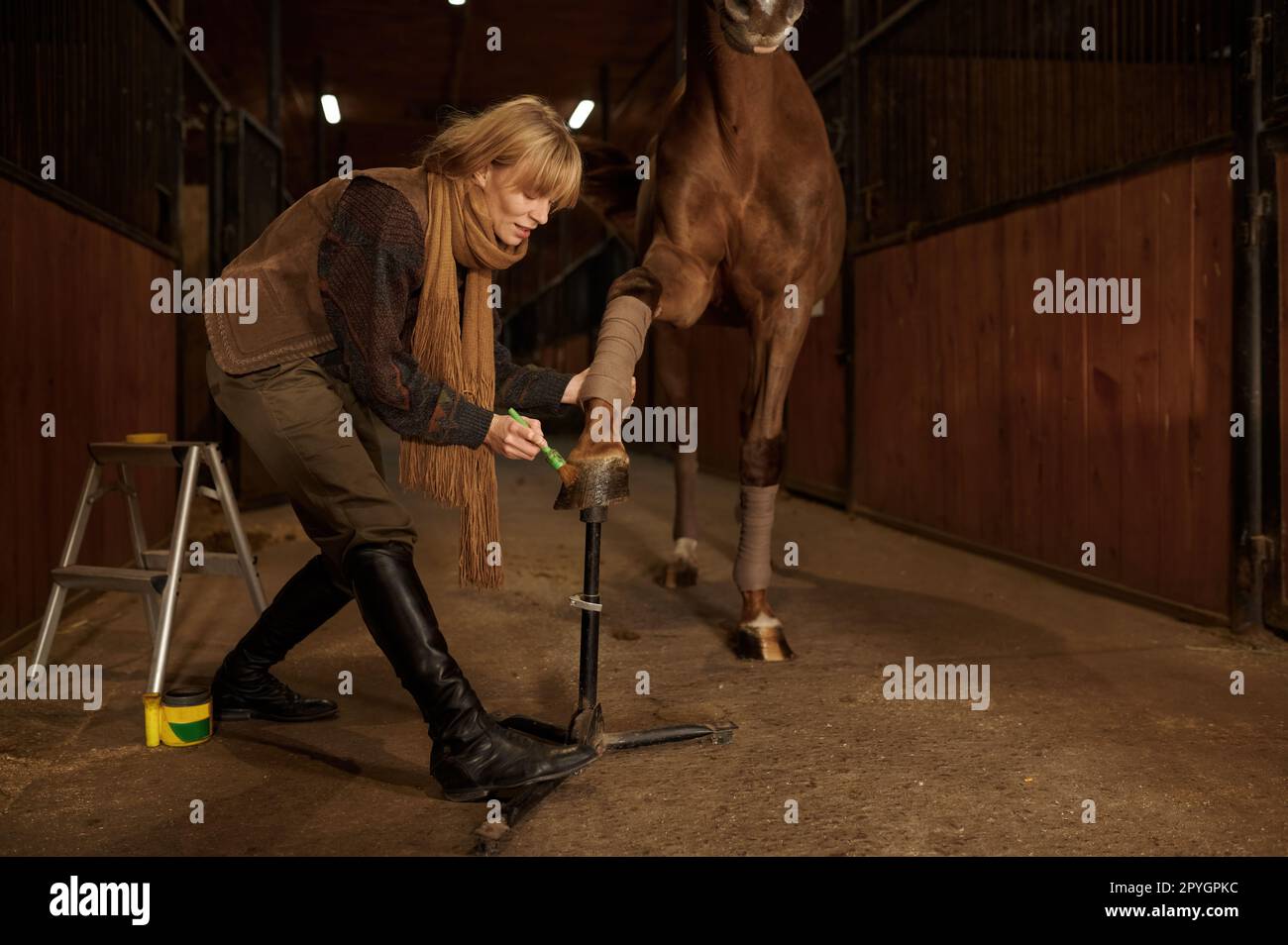 Weibliche Reiterin trägt Schutzlack auf Pferdehufe auf, um Schäden zu vermeiden Stockfoto