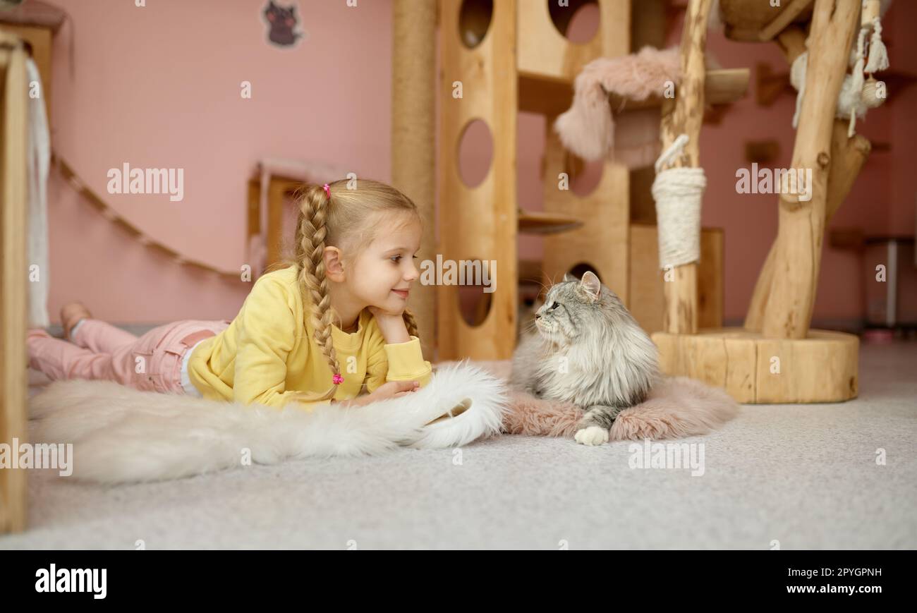 Fröhliches Mädchen lag auf dem Boden mit flauschiger Katze über dem Hintergrund eines Tierheims Stockfoto