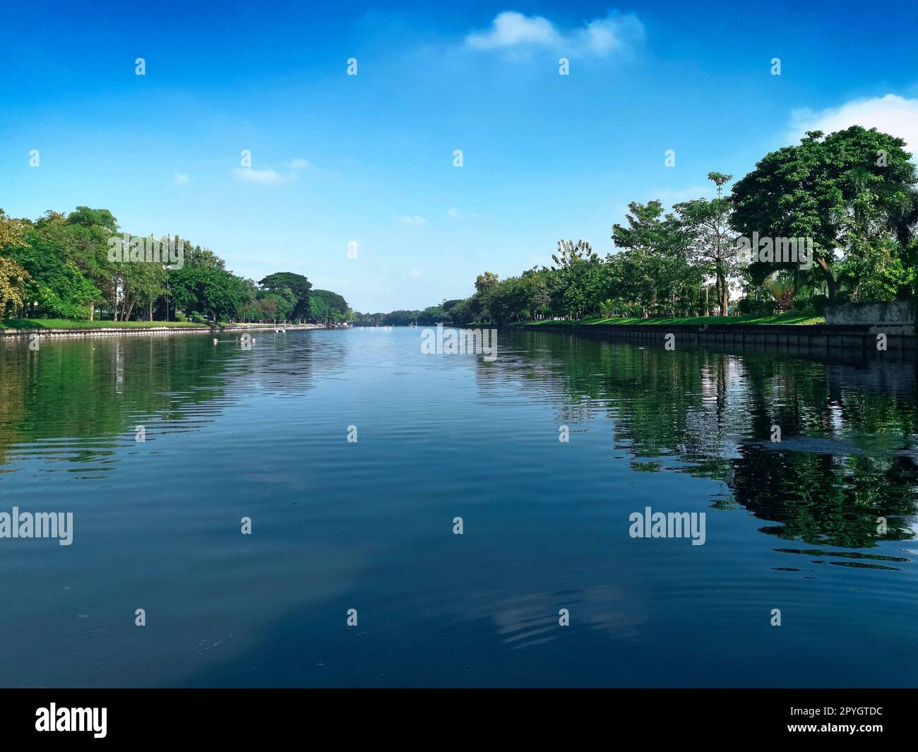 Ein großer Pool in der Mitte des Parks ist voller großer Bäume, umgeben vom hellblauen Himmel Stockfoto
