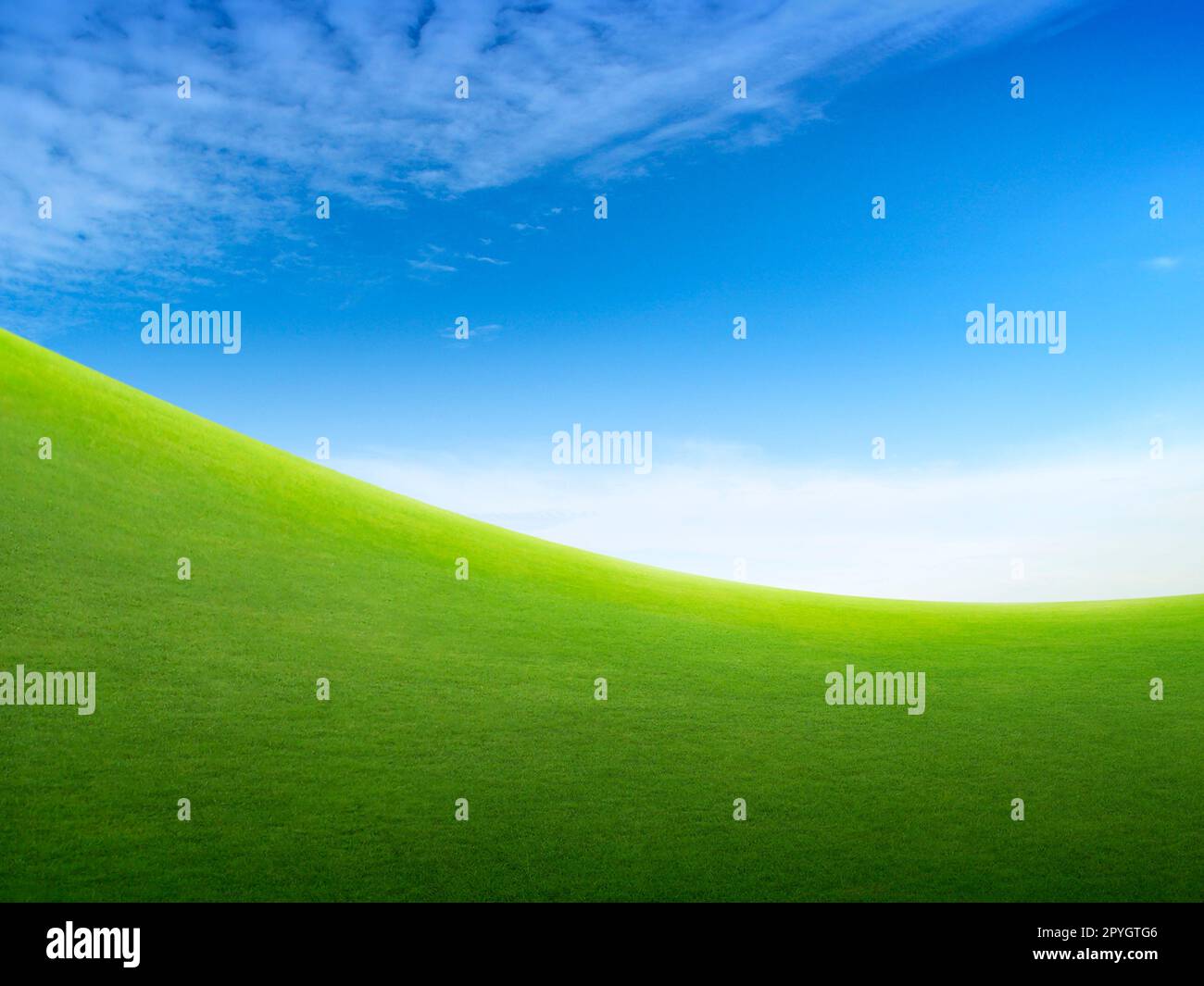 Grünes Grasfeld und hellblauer Himmel Stockfoto
