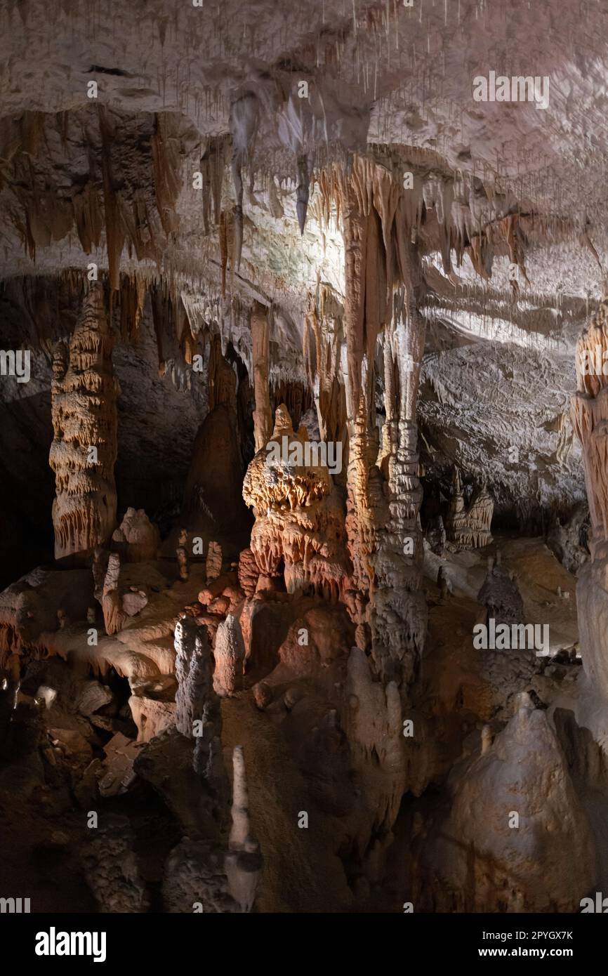 Innenansicht der Höhle von Postojna Stockfoto