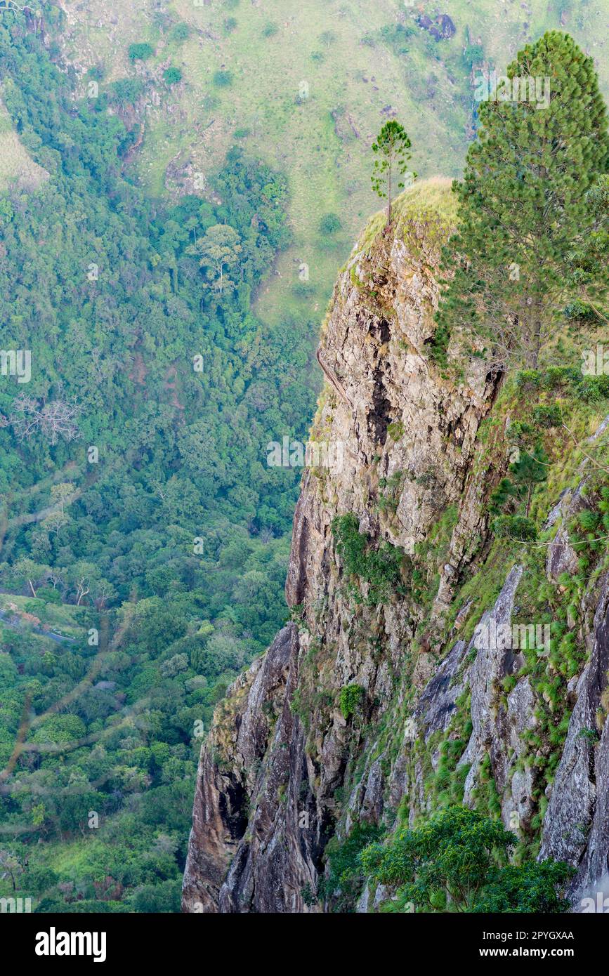 Blick hinunter auf die Ella-Lücke im Hochland von Sri Lanka Stockfoto