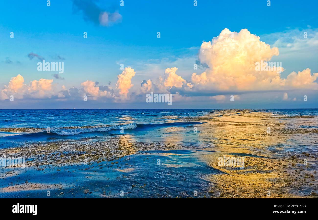 Wunderschöner Abend bei Sonnenuntergang am Strand, an der Küste und im Wasser Mexikos. Stockfoto