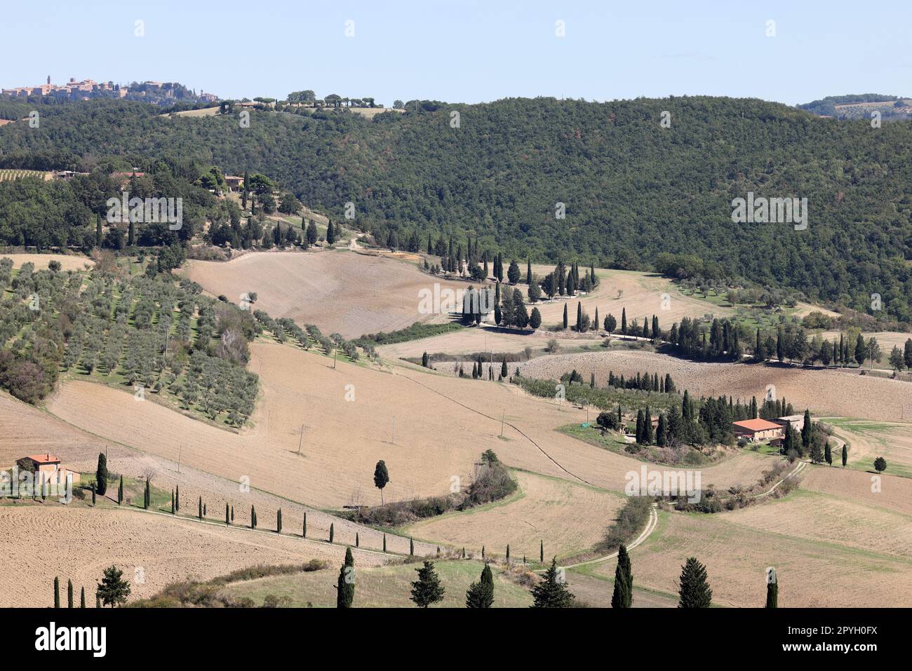 Die ländliche Landschaft bei Pienza in der Toskana. Italien Stockfoto