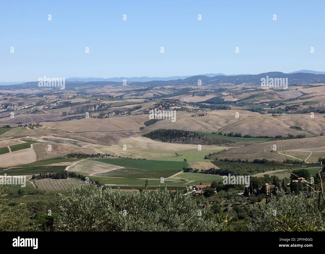 Die ländliche Landschaft bei Pienza in der Toskana. Stockfoto