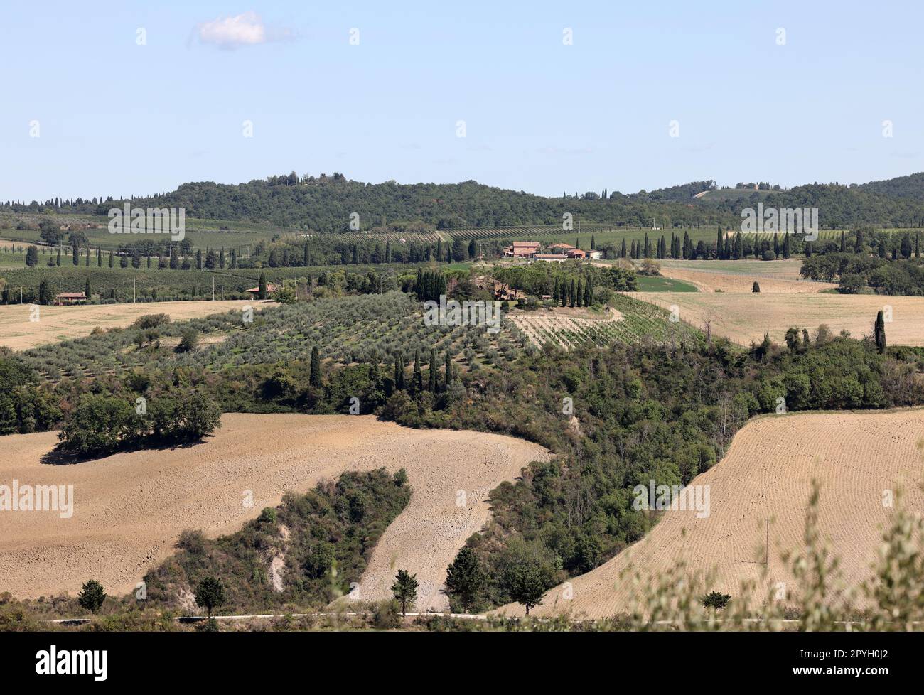 Die ländliche Landschaft bei Pienza in der Toskana. Italien Stockfoto