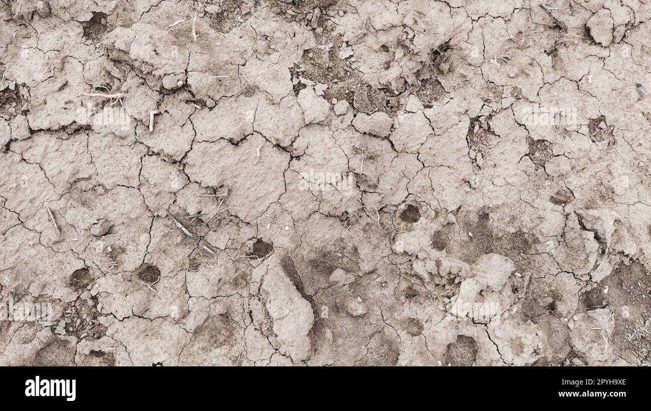 Feuchtes, fruchtbares Land. Tonerde. Vorbereitung des Landes für die Anpflanzung. Landwirtschaftliches und natürliches Thema. Ton, Furchen, Heu auf dem Feld. Stockfoto