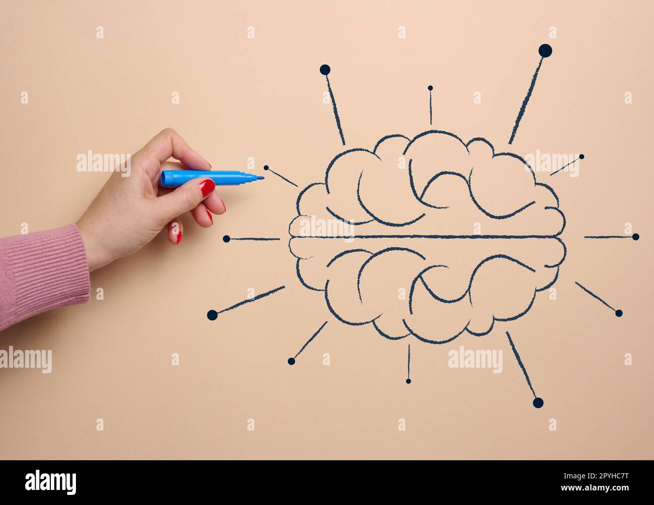 Menschliches Gehirn gezeichnet mit Marker, Konzept des Lernens künstlicher Intelligenz durch Informationszusatz Stockfoto