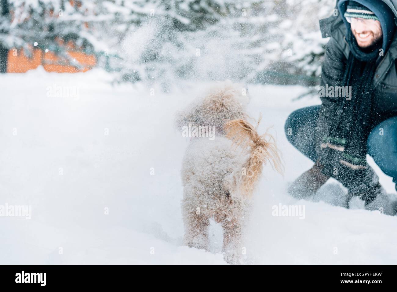Schneeballschlacht Spaß mit Haustier und seinem Besitzer im Schnee. Emotionen im Winterurlaub. Niedliche Pfütze Hund und Mann spielen und laufen im Wald. Filmfilterbild. Stockfoto