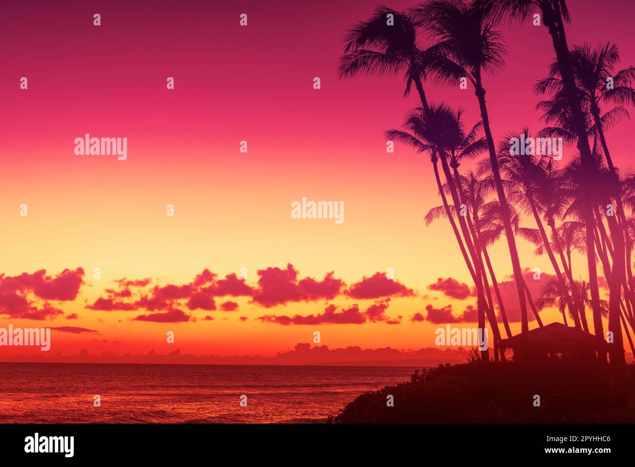 Silhouette Kokospalme im Hintergrund des Sonnenuntergangs Stockfoto