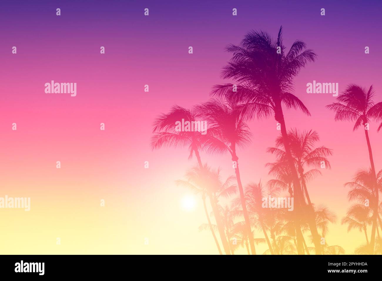 Silhouette Kokospalme im Hintergrund des Sonnenuntergangs Stockfoto