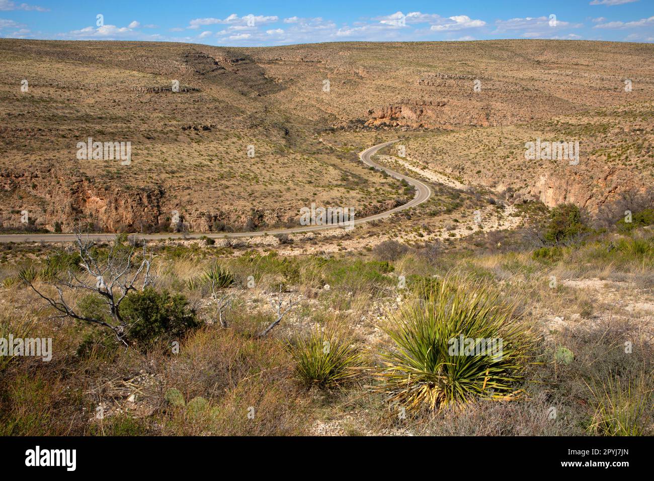 Parkstraße im Walnut Canyon, Carlsbad Caverns National Park, New Mexico Stockfoto
