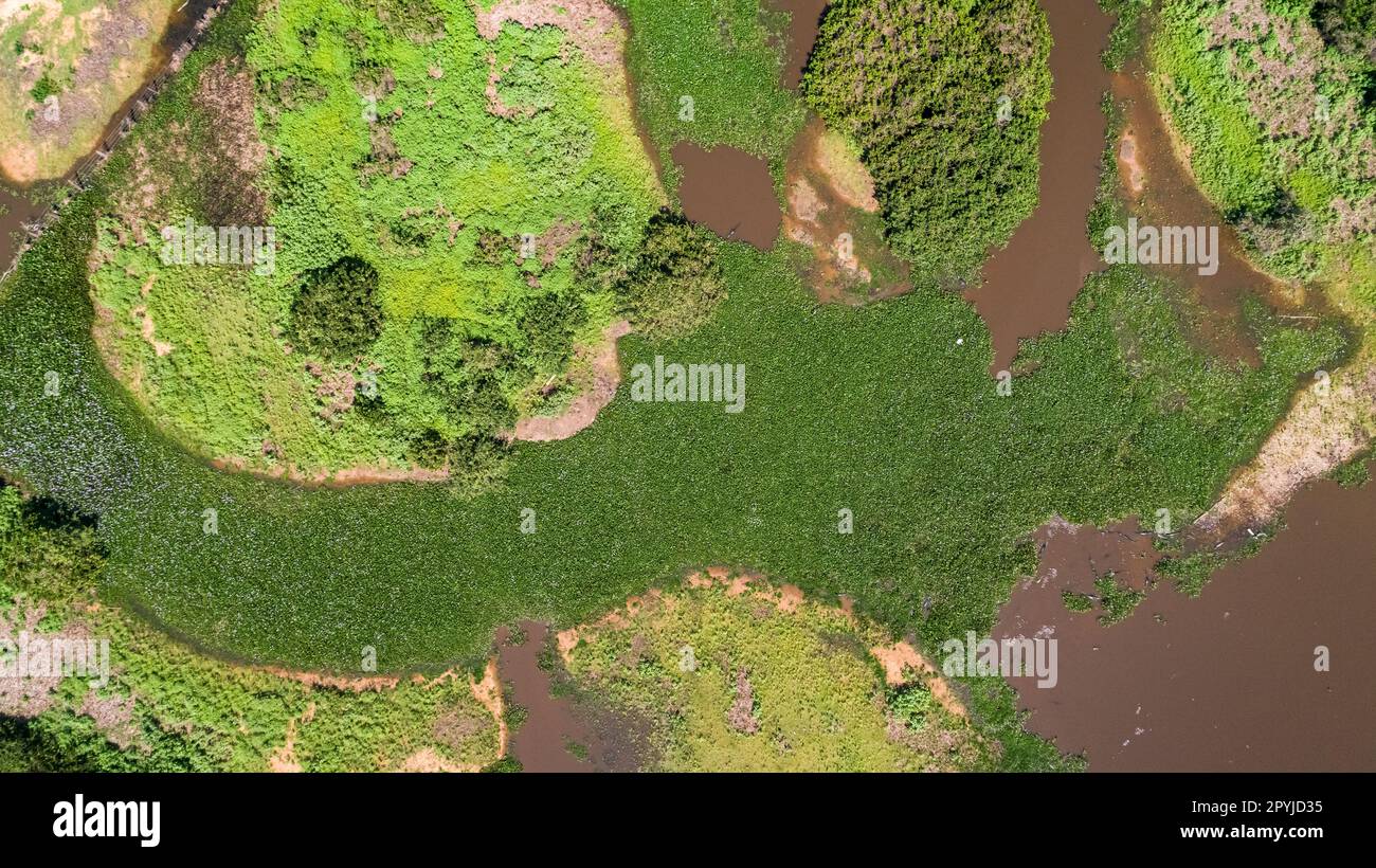 Aus der Vogelperspektive sehen Sie die typische farbenfrohe, von Pantanal überflutete Landschaft mit Fluss und Lagunen gefüllt mit Wasserpflanzen, Wiesen und Vegetation, Pantanal Stockfoto