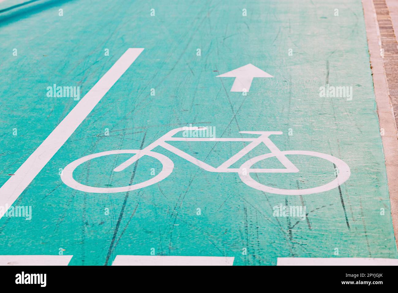 Blau lackierte Fahrradspur im Stadtpark. Ökologische Umwelt und umweltfreundlicher und gesunder Verkehr. Radweg Stockfoto