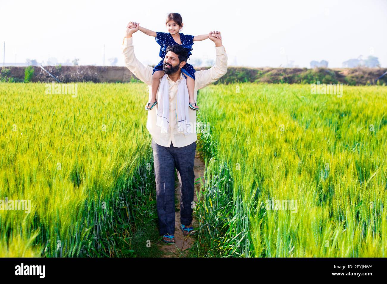 Glückliche kleine indische Tochter, die auf der Schulter des Vaters sitzt, Spaß beim Gehen auf Weizenlandwirtschaft hat, Freizeit zusammen auf der Farm verbringt, Mädchen Kind Stockfoto