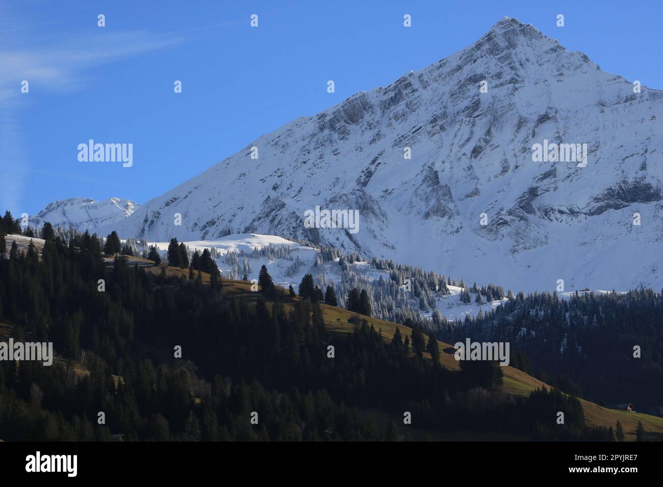 Schneebedeckter Mount Spitzhorn und grüner Hügel. Stockfoto