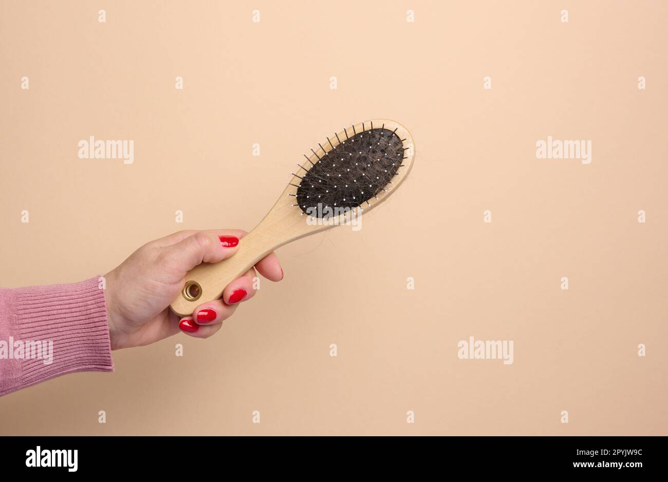 Die Hand einer Frau hält eine Bürste, um Tierhaare auf einem beigen Hintergrund zu kämmen Stockfoto