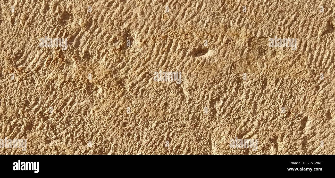 Wunderschöner Sandstein, verdichteter Sand. Steinstruktur auf einem alten Marmordenkmal. Hellgelbe Farbe, raue Oberfläche, individuelle Schäden im Flugzeug. Abendsonne. Antike Architektur Stockfoto