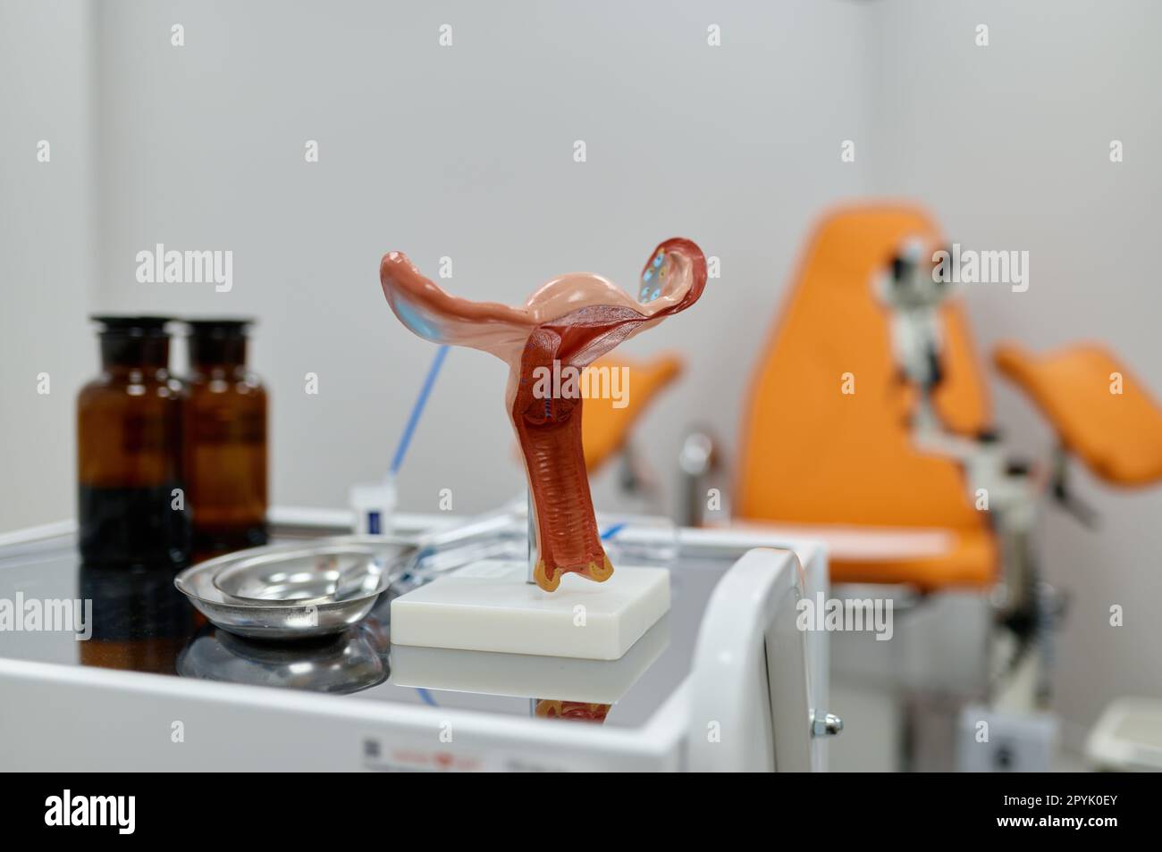 Gynäkologische Untersuchungskit und anatomisches Uterusmodell auf dem Tisch Stockfoto