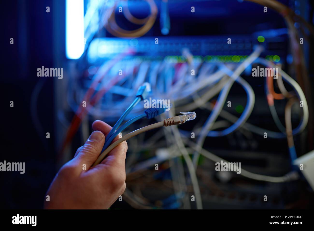 Zugeschnittene Nahaufnahme der Hand, die Kabel mit dem Netzwerkserver verbindet Stockfoto