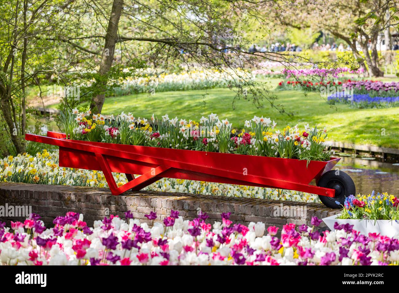 Keukenhof Blumengarten - größter Tulpenpark der Welt, Lisse, Niederlande Stockfoto