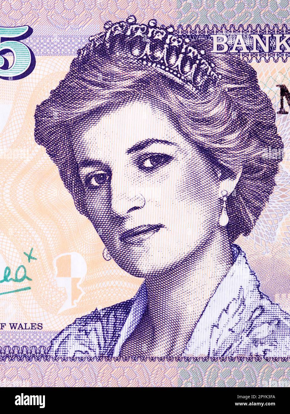 Prinzessin Diana, ein Porträt aus Waliser Geld Stockfoto