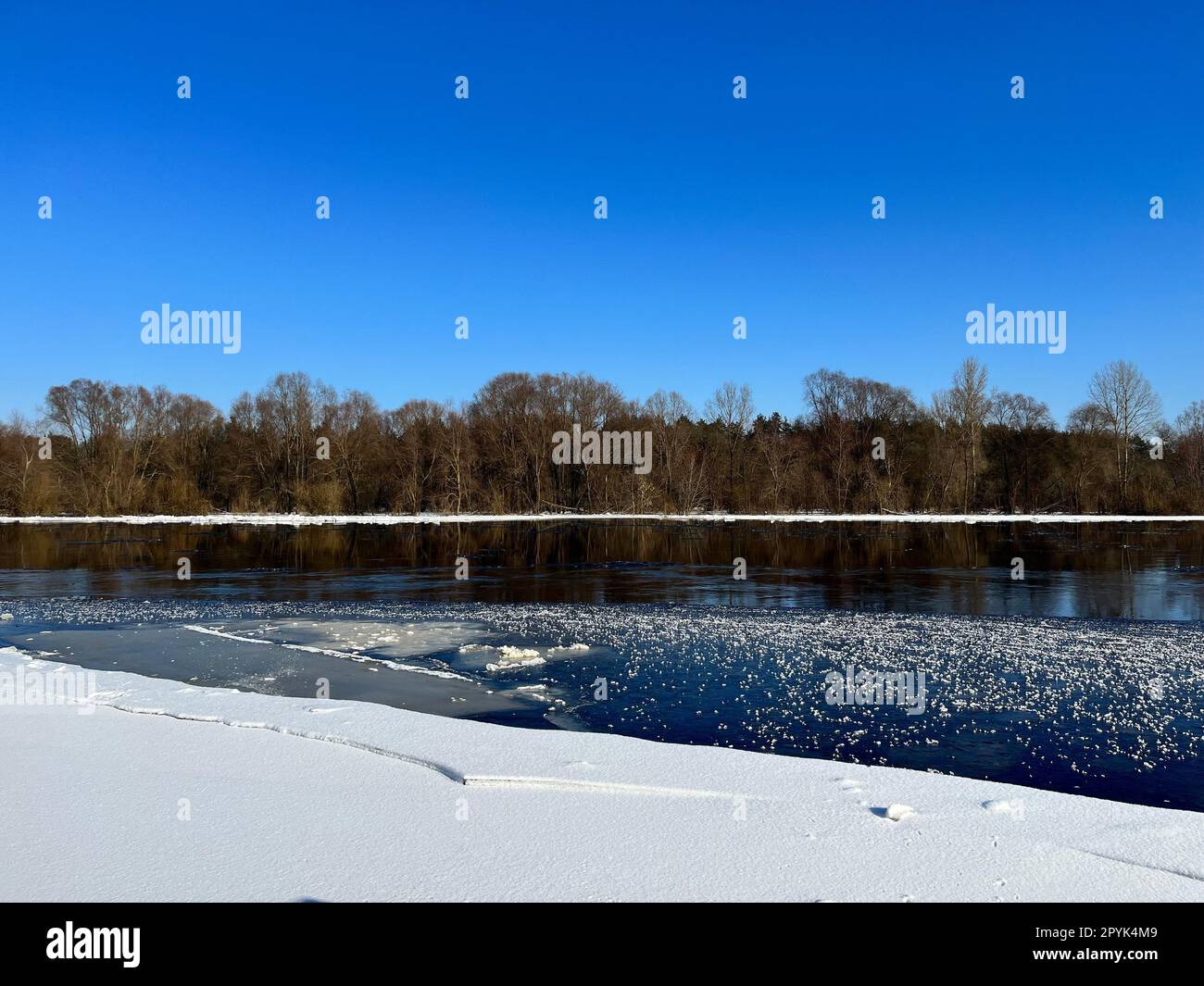 Im Winter im Februar, auf der anderen Seite des Eichenwaldes Stockfoto