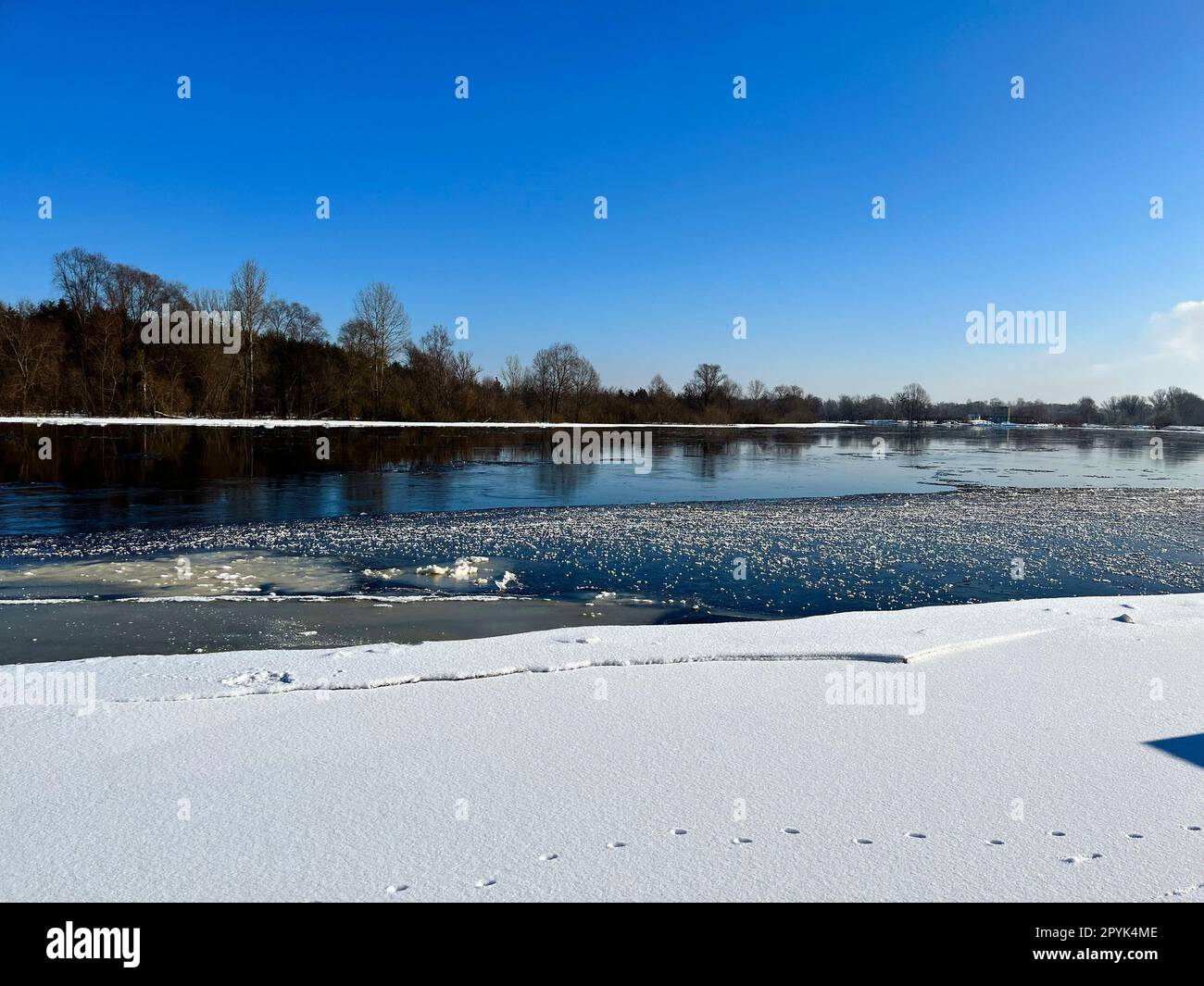 Im Winter im Februar, auf der anderen Seite des Eichenwaldes Stockfoto