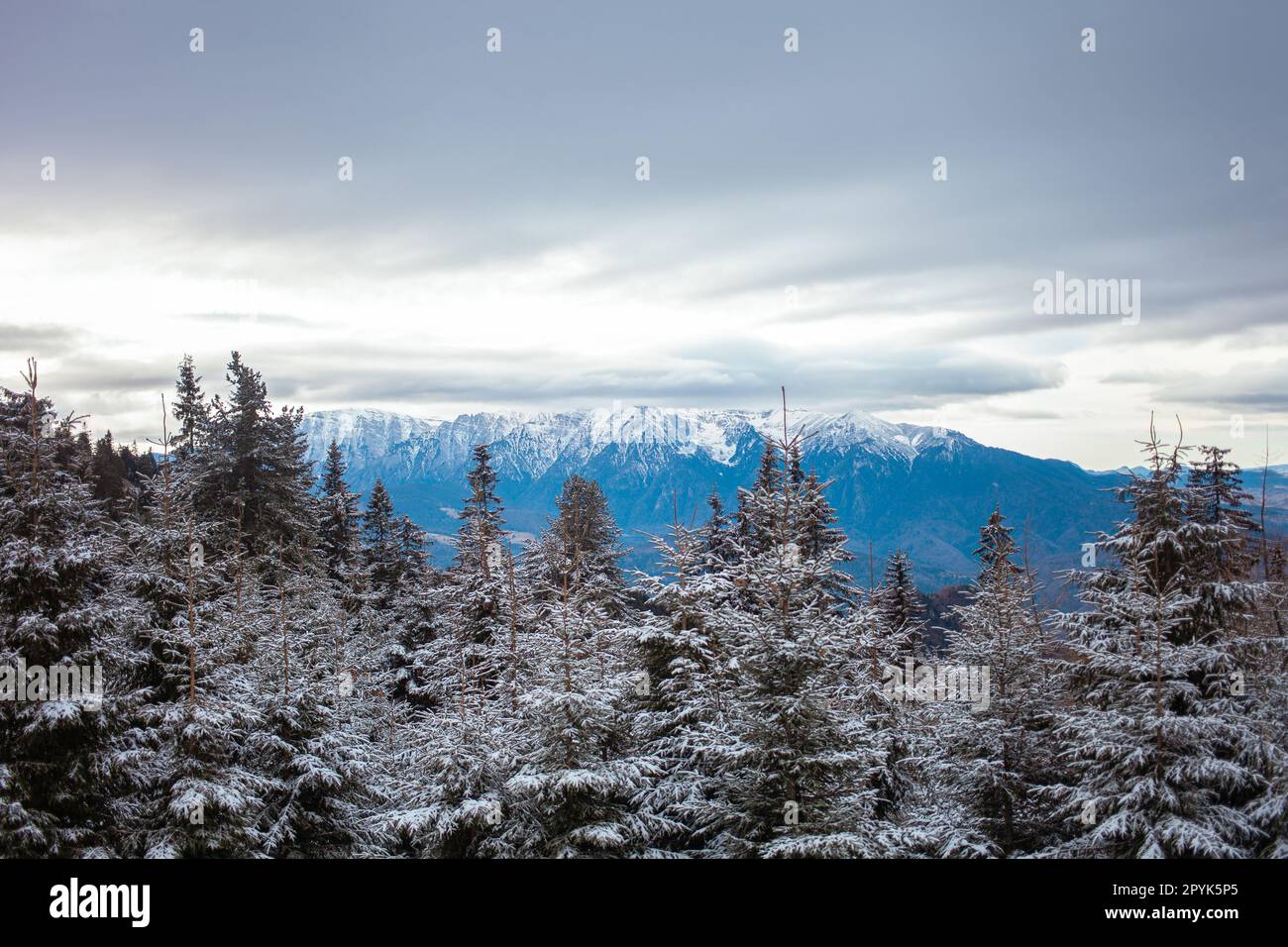 Wunderschöner Blick auf Wald und Berge, Winter, Bildschirmschoner und Hintergrund, Kopierbereich Stockfoto