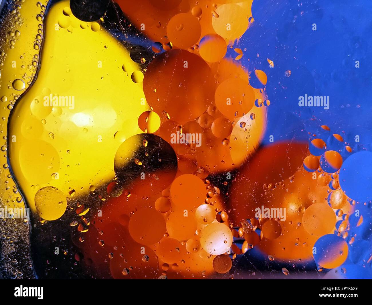 Obst unter Glas, Wasser und Pflanzenöl. Unscharfer blauer Hintergrund. Leuchtende Orangen und Mandarinen. Ölkreise auf dem Wasser. Abstraktes Bild. Horizontale Fotografie Stockfoto