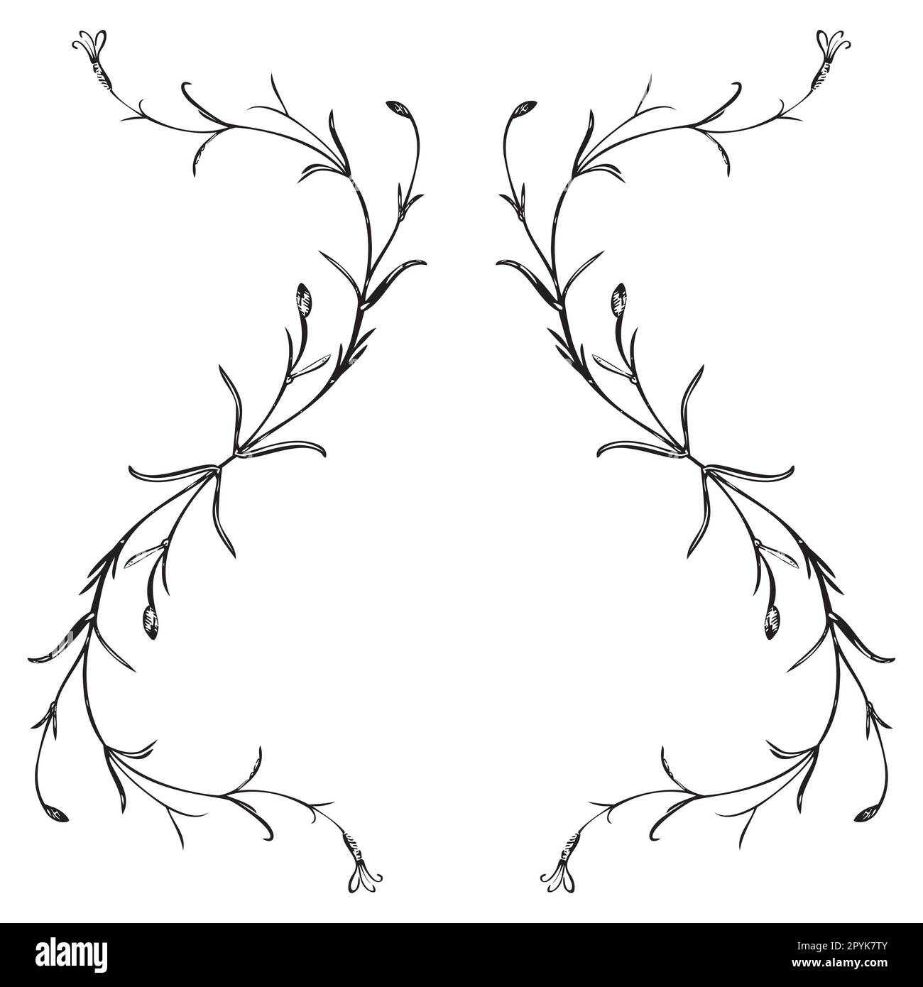 Handgezogene botanische Pflanze, Bouquet auf Hintergrund isoliert. Frühlingspflanzenblumen-Vintage-Rahmen. Kreativer, linearer Stil. Grafik-Design-Hochzeit Stockfoto