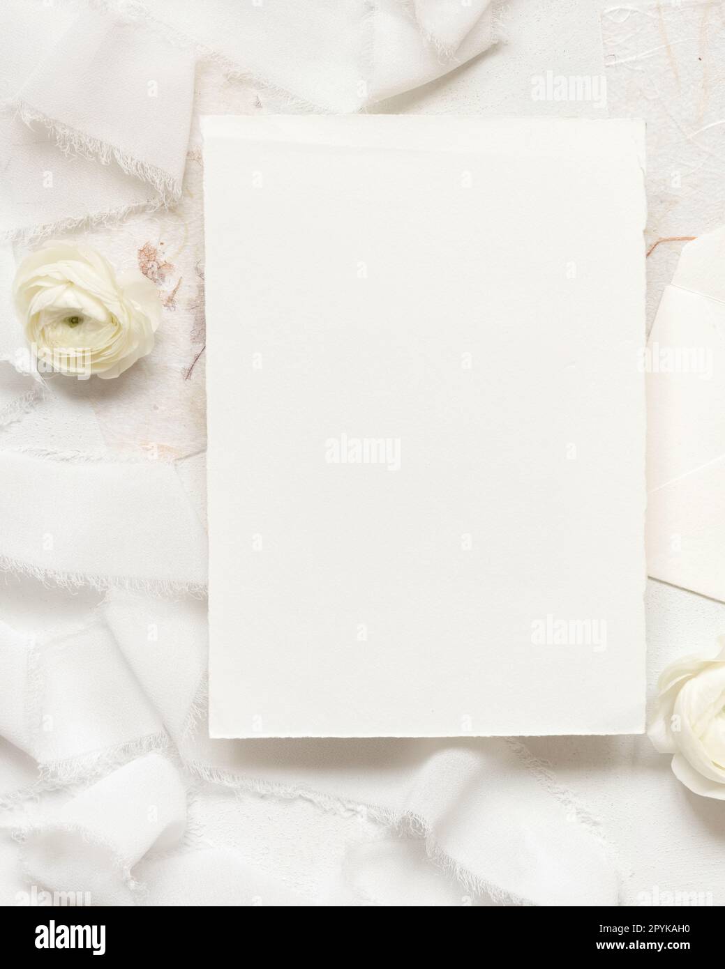 Leere Karte neben cremefarbenen Rosen und weißen Seidenbändern, Draufsicht, Hochzeitsmodell Stockfoto