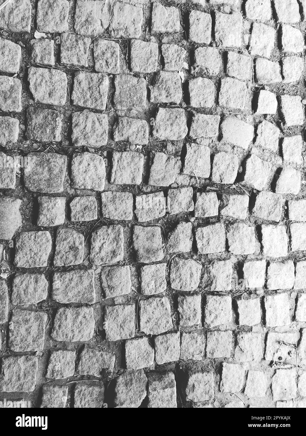 Mit unebenen Natursteinen gepflasterter Bürgersteig. Zwischen zerdrückten Kopfsteinpflaster gibt es kleine Kiesel, Erde, Sand, Gras. Platz in der alten europäischen Stadt. Horizontale Schwarzweiß-Schwarzweiß-Fotografie Stockfoto